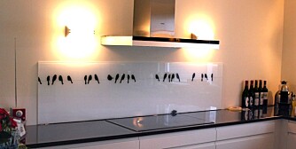ALTERNATIV TIL FLISER: Glassplate med motiver over kjøkkenbenken.