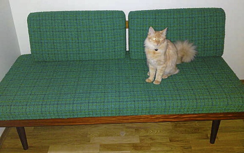 GRATIS: Denne retro-sofaen er blant tingene du kan få gratis på Finn.no. Katten følger ikke med.
