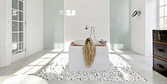 BADER I LUKSUS: Badekaret er sentralt plassert på gulvet i husets beste rom.