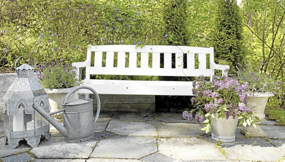 SITTEPLASS: En benk i hagen er et «must». Plasser den på et sted hvor det er godt å sitte. Urnene og den store lykten er kjøpt hos Verket Interiør, sinkbøtten er fra et utsalg for gammelt utstyr fra Sivilforsvaret.
