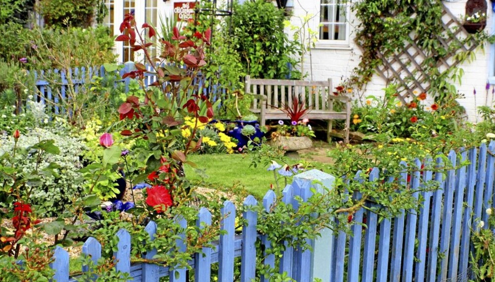 BLOMSTRER: Du vil vel ikke bli møtt av en vissen hage når du kommer hjem fra ferie? Følg disse rådene for å unngå det. BLOMSTRER: Du vil vel ikke bli møtt av en vissen hage når du kommer hjem fra ferie? Følg disse rådene for å unngå det.