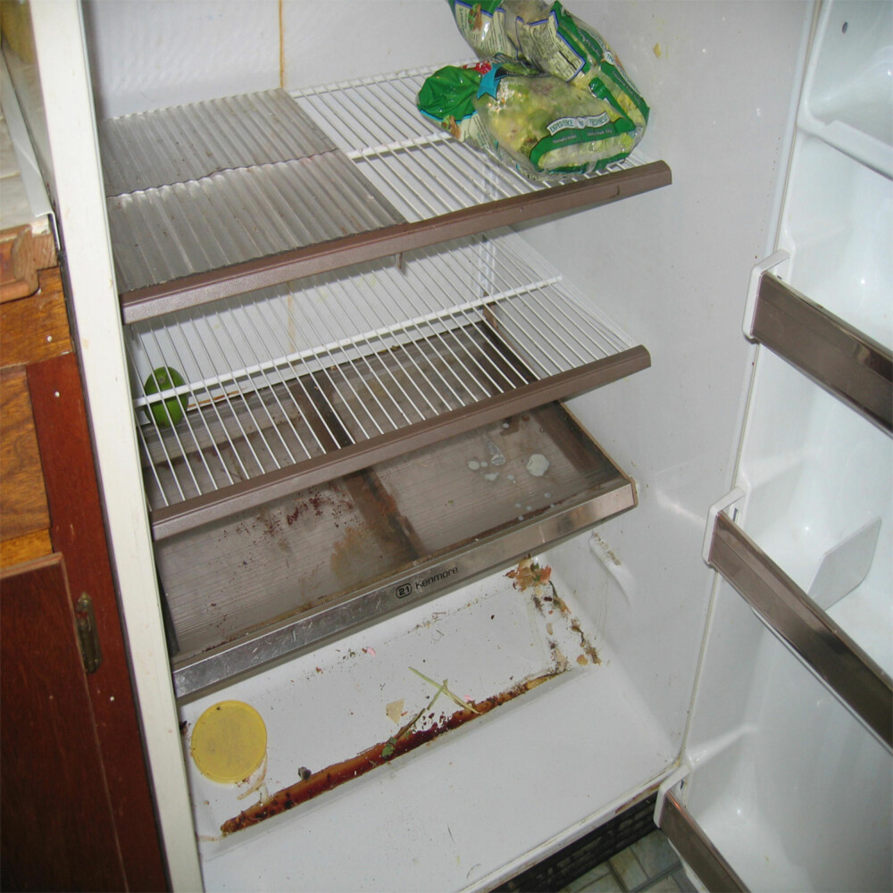BAKTERIEBOMBE: Det er lurt å tørke opp og vaske søl og lekkasjer i kjøleskapet umiddelbart.
