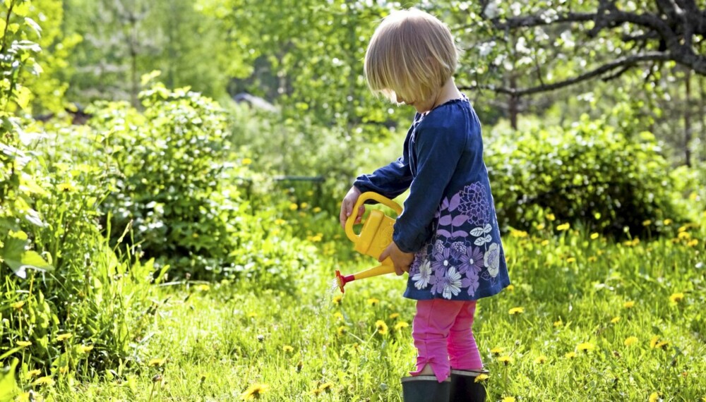 VÅRPLENEN: Tiden er inne for å gi plenen det best mulige vekstgrunnlaget for en grønn og frodig sommer.