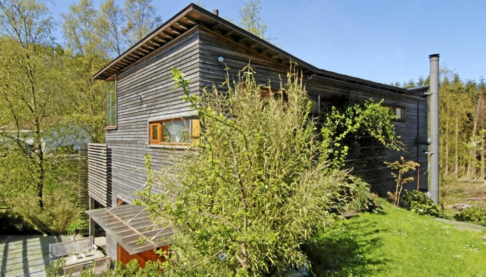 KULT MED SVAI I TAKET: Huset til arkitektene Hilde Haga og Rune Grov ligger nedgravd i en bratt skråning. Sibirsk lerk kler hele bygningen. Huset har bare en takrenne. Utenpåliggende pipe.