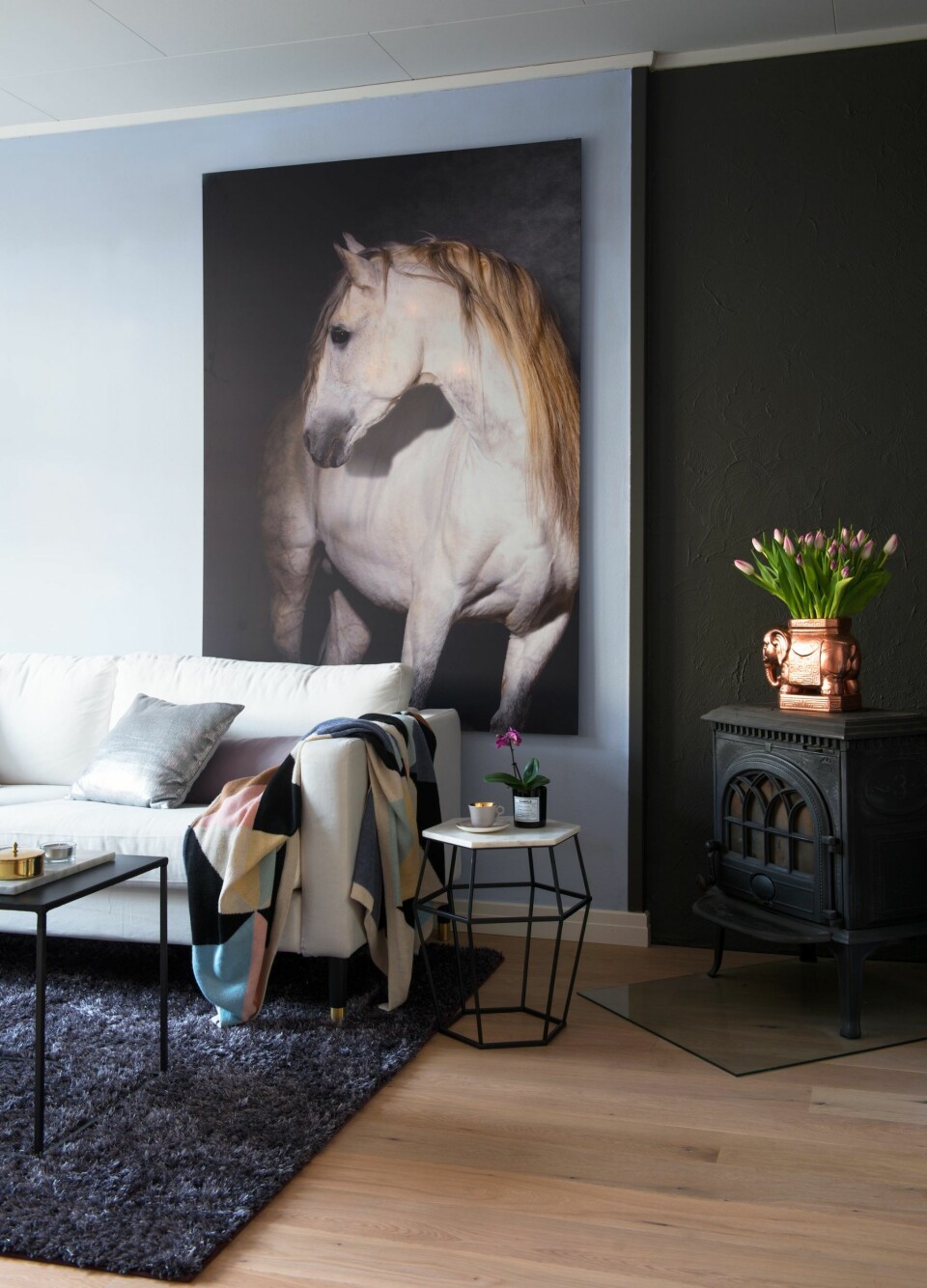 Vær personlig. Hvis du tilfører innredningen noe personlig, er det med på å skape et hjem, ulikt andres. Selv har Ida en fortid som hestejente. Det kommer til uttrykk gjennom bildet på stueveggen. Copycat.no har produsert bildet på tre millimeters hvitlakkert aluminium. Pleddet i sofaen er fra Eske.