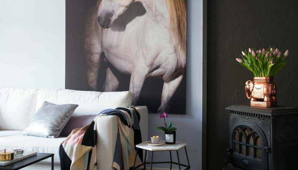 Vær personlig. Hvis du tilfører innredningen noe personlig, er det med på å skape et hjem, ulikt andres. Selv har Ida en fortid som hestejente. Det kommer til uttrykk gjennom bildet på stueveggen. Copycat.no har produsert bildet på tre millimeters hvitlakkert aluminium. Pleddet i sofaen er fra Eske.