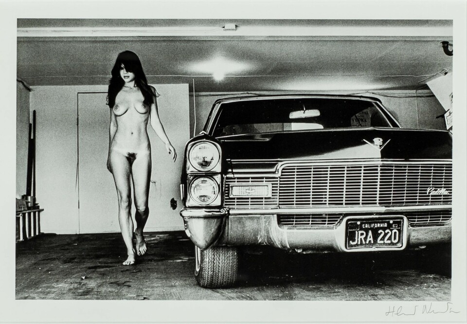 Maskulint sett. Nakenhet selger bedre om personen er en kvinne. Kanskje fordi de fleste samlere er menn? Helmut Newtons fotografi Hollywood fra 1976 ble i år solgt for 6000 kroner, halvparten av verdivurdering.