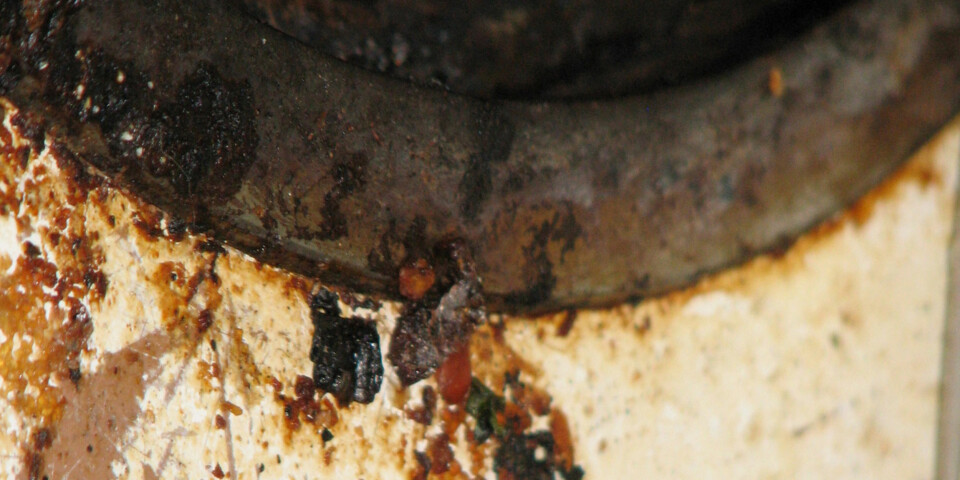 Bli kvitt stekelukten på kjøkkenet