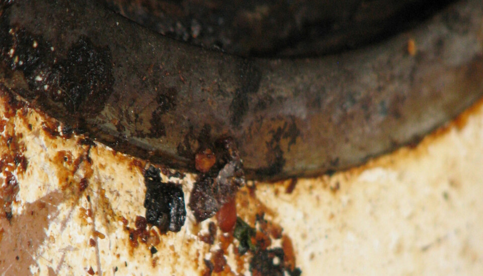 LUKTER VONDT: Ser komfyren din slik ut, lukter det mest sannsynlig gamle matrester på kjøkkenet ditt. Slik blir du kvitt den vonde lukten. FOTO: : ragesoss på Flicker.com. Noen rettigheter reservert.