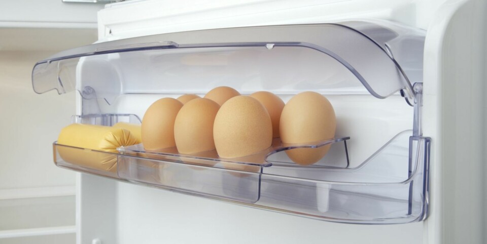 EGG: I kjøleskapet oppbevares eggene best langt oppe i kjøleskapet. Husk at egg har mye lengre holdbarhet enn det som står på pakken.