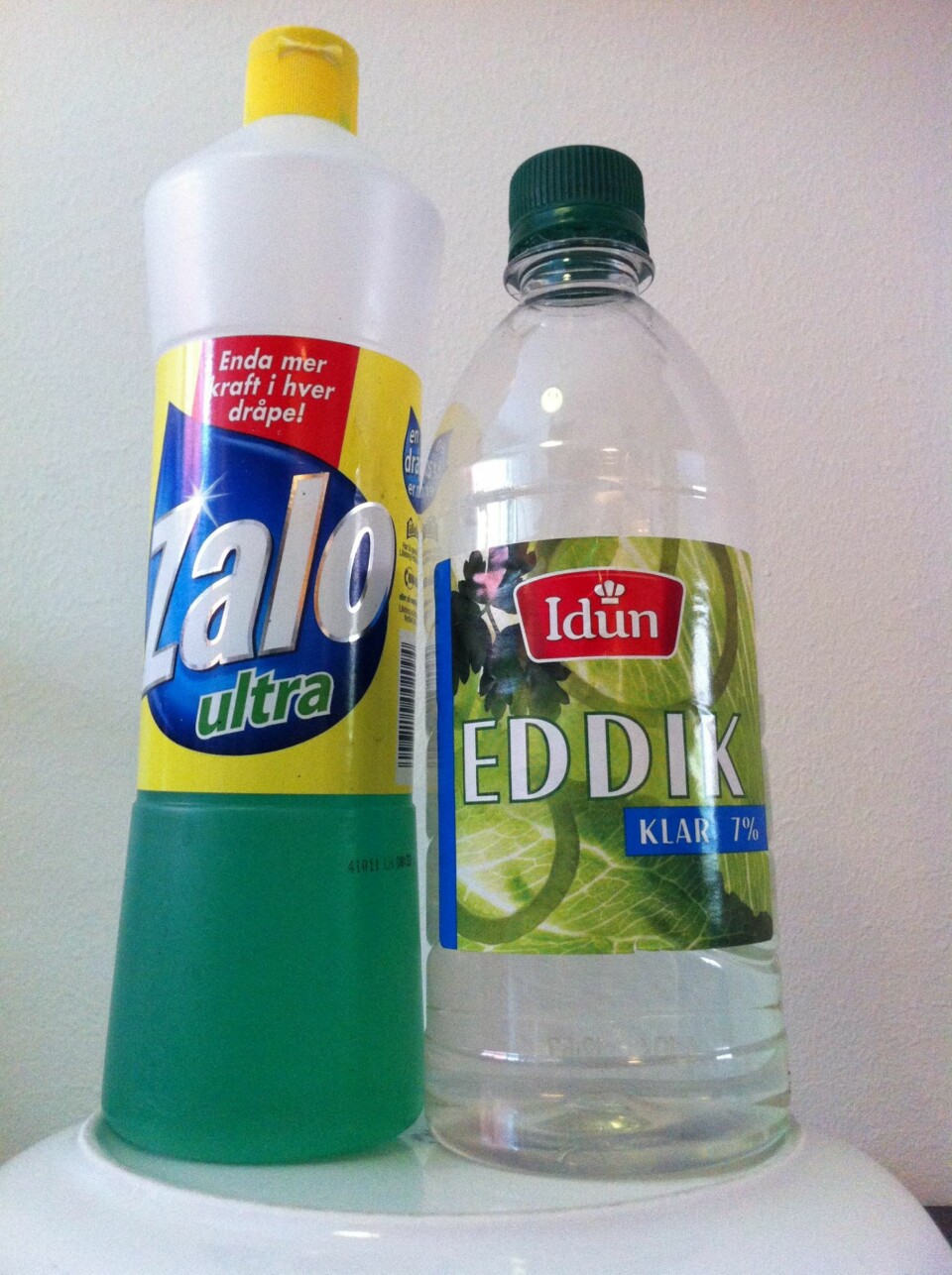 ZALO OG EDDIK: En god kombinasjon.