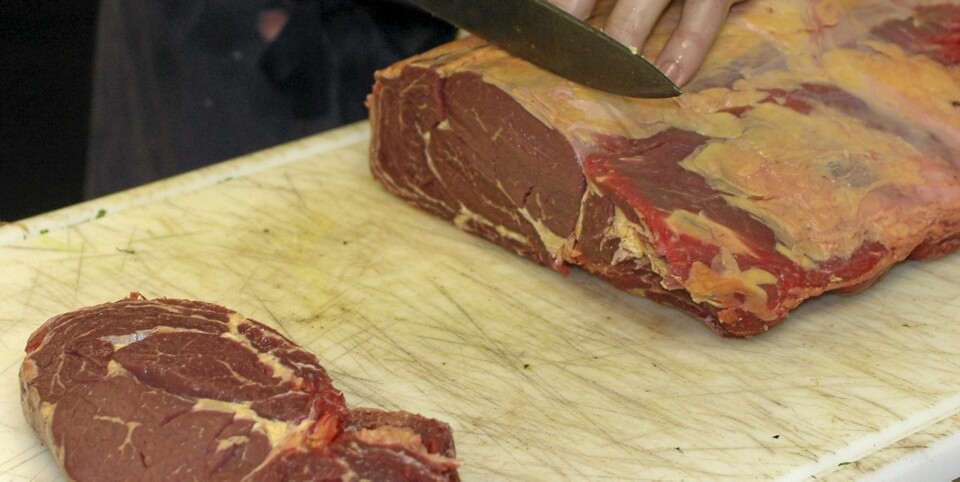 Disse fjølene er bakteriebomber