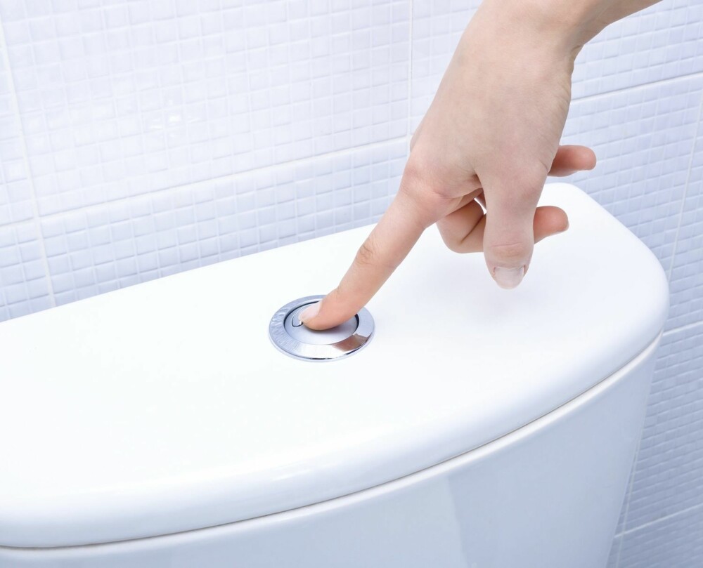HUSKER DU DENNE? Det er ikke bare toalettbørsten mange glemmer å vaske på baderommet. Spyleknappen på toalettet er en flate vi også må huske å ta med i rengjøringen.