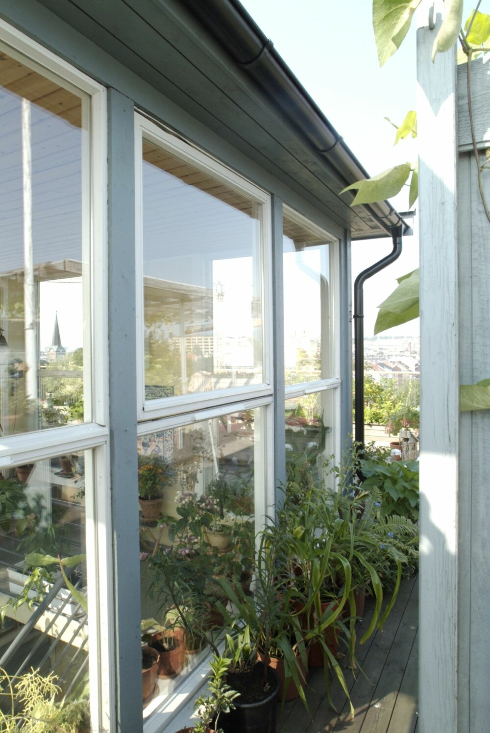 ET STED FOR TRIVSEL: De store vindusflatene gjør takhytta til et hyggelig, transparent sted midt i alt det grønne.