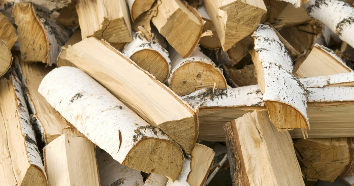 Дрова купить в лен. Визитка дрова. Берёза (древесина). Реклама дров. Колотые дрова визитка.
