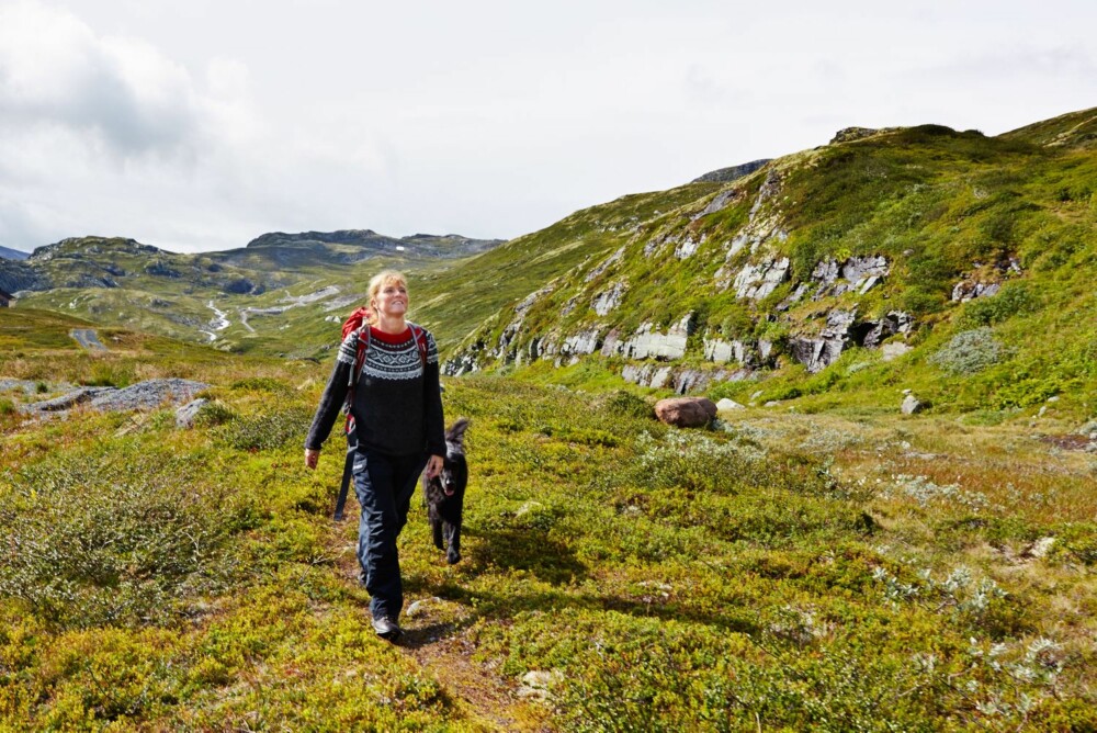 FJELLGEIT: Vibeke bruker hytta som utgangspunkt for mange toppturer.