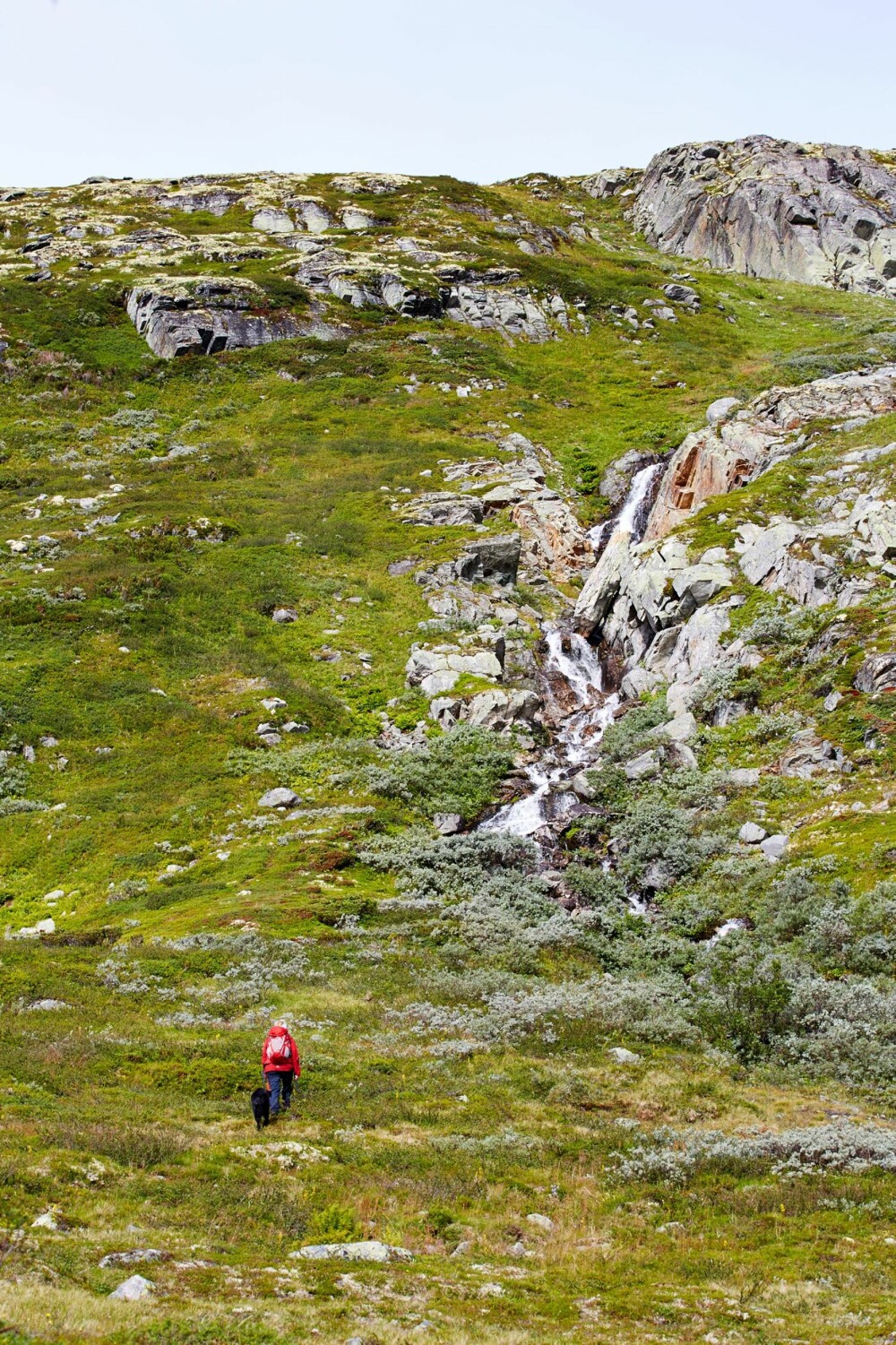 HØYFJELL: Fra hytta og opp på Mannsbergi (1400 m.o.h.) er første økt på dagens fottur innover i høyfjellet.
