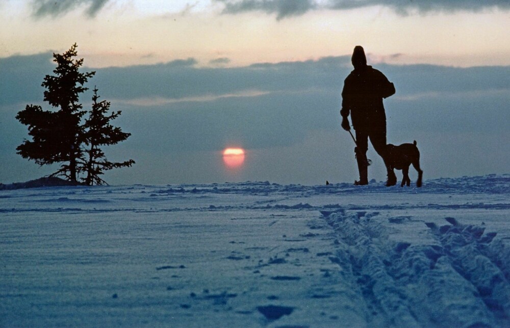 IDYLL: På fjellet kan dette være en nydelig måte å avslutte vinterdagen på. Særlig hvis man får oppleve en stemningsfull solnedgang på kvelds­turen sammen med en kjær, firbeint venn. Bildet heter «Fast følge».