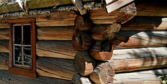 TØMMERVIRKE: Når du skal bygge tømmerhytte, må du forsikre deg om at virket er tørt.