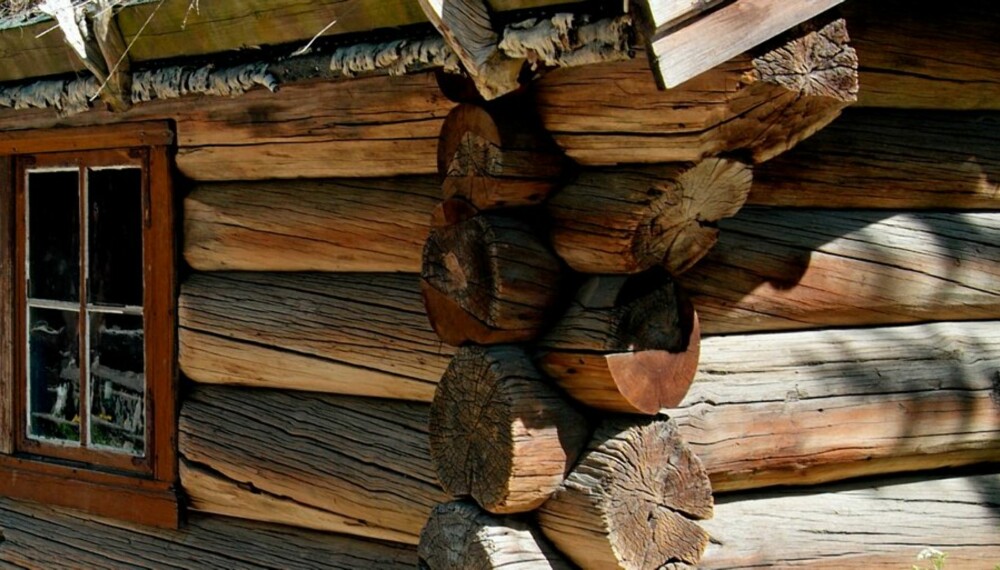 TØMMERVIRKE: Når du skal bygge tømmerhytte, må du forsikre deg om at virket er tørt.