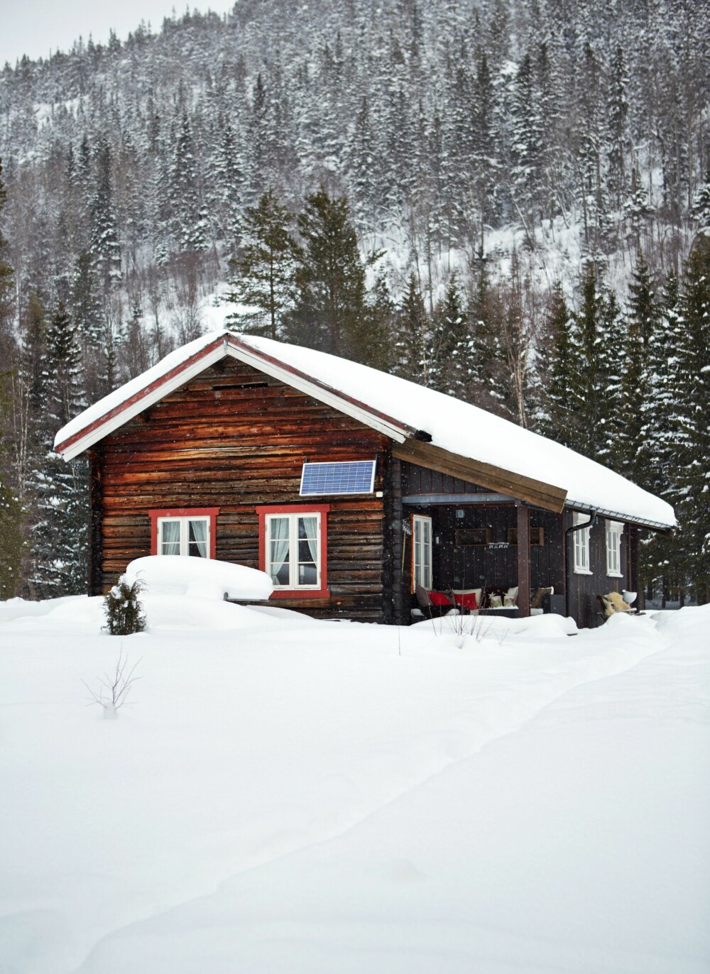 Stille og fredelig: Slettungdalen er kanskje ikke det aller mest kjente stedet, men familien trives i rolige omgivelser i variert terreng med vann, skog og nærhet til fjelltoppene på Haugefjell.