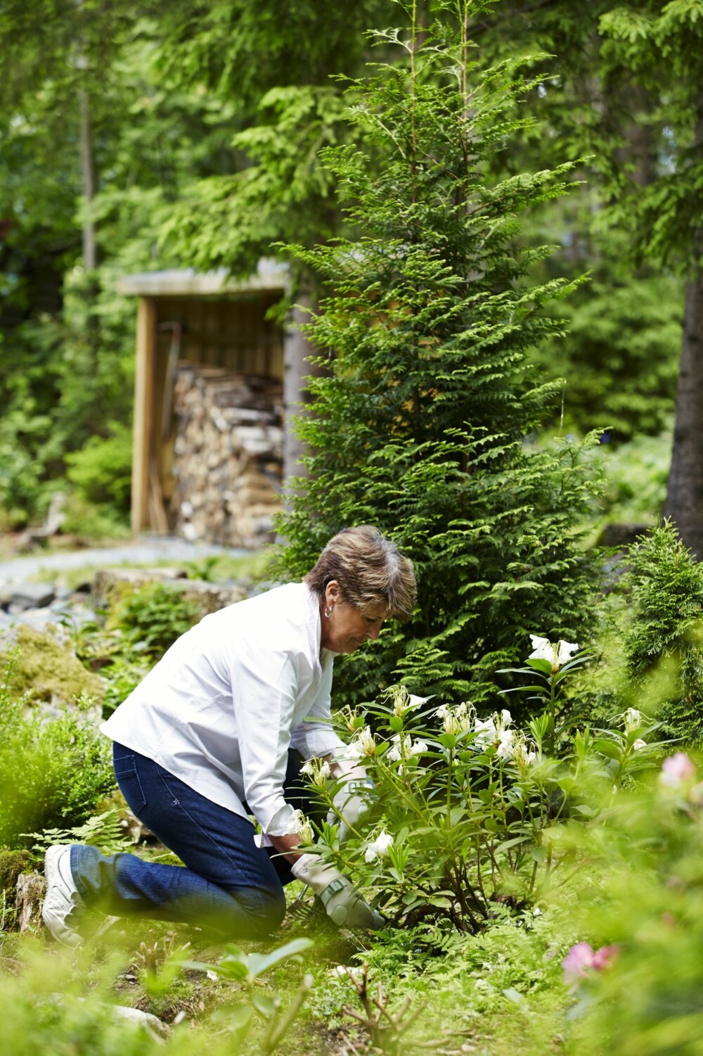 På knærne etter hyttehagen: Wenche har brukt mye tid på hagen ved
Iddefjorden. En velholdt, kreativ hage som bærer preg av naturen
rundt. Her steller hun en rododendron