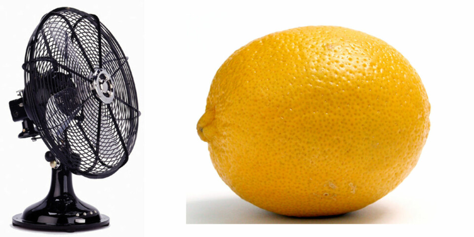 KJERRINGRÅD: Det sies at mygg ikke liker vind og lukten av sitron. Det skader ikke å prøve.