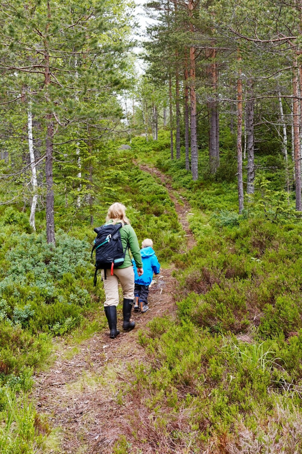 PÅ VEI: Det tar cirka 10 minutter å gå fra parkringen til hytta, i bratt motbakke.