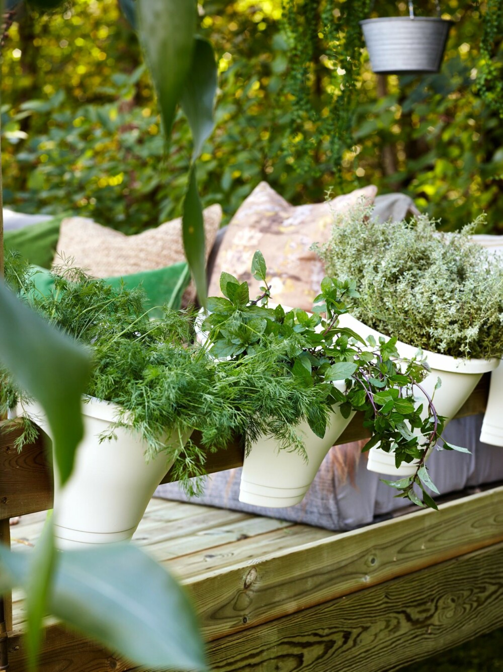 FRODIG OG FRYDEFULLT: Pottene i plast er som skapt for å henge på rekkverket, kr 129 pr. stk., Plantasjen. Styling: Steen & Aiesh/Juni Hjartholm. FRODIG OG FRYDEFULLT: Pottene i plast er som skapt for å henge på rekkverket, kr 129 pr. stk., Plantasjen. Styling: Steen & Aiesh/Juni Hjartholm.
