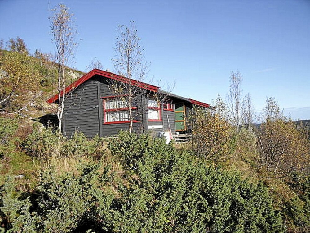 DET ENKLE HYTTELIV: Denne selbvbyggerhytta i Reinli Sør-Aurdal, beliggende på 1000 meter, beskrives av selger som den perfekte hytte for dem som søker et enkelt og godt hytteliv.