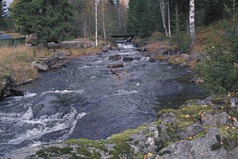 Elver og vann er overflatevann, og dermed utsatt for forurensning Elver og vann er overflatevann, og dermed utsatt for forurensning