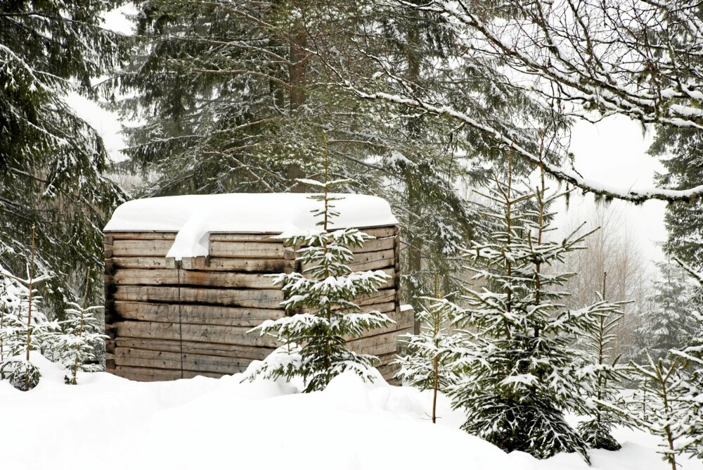 RØFF ARKITEKTUR MIDT I SKAUEN: Denne lille badstuen i storskogen er et stillhetens sted. Så enkel og primitiv, og like vel tiltrekkende kan en badstue bli når man følger finsk byggetradisjon.