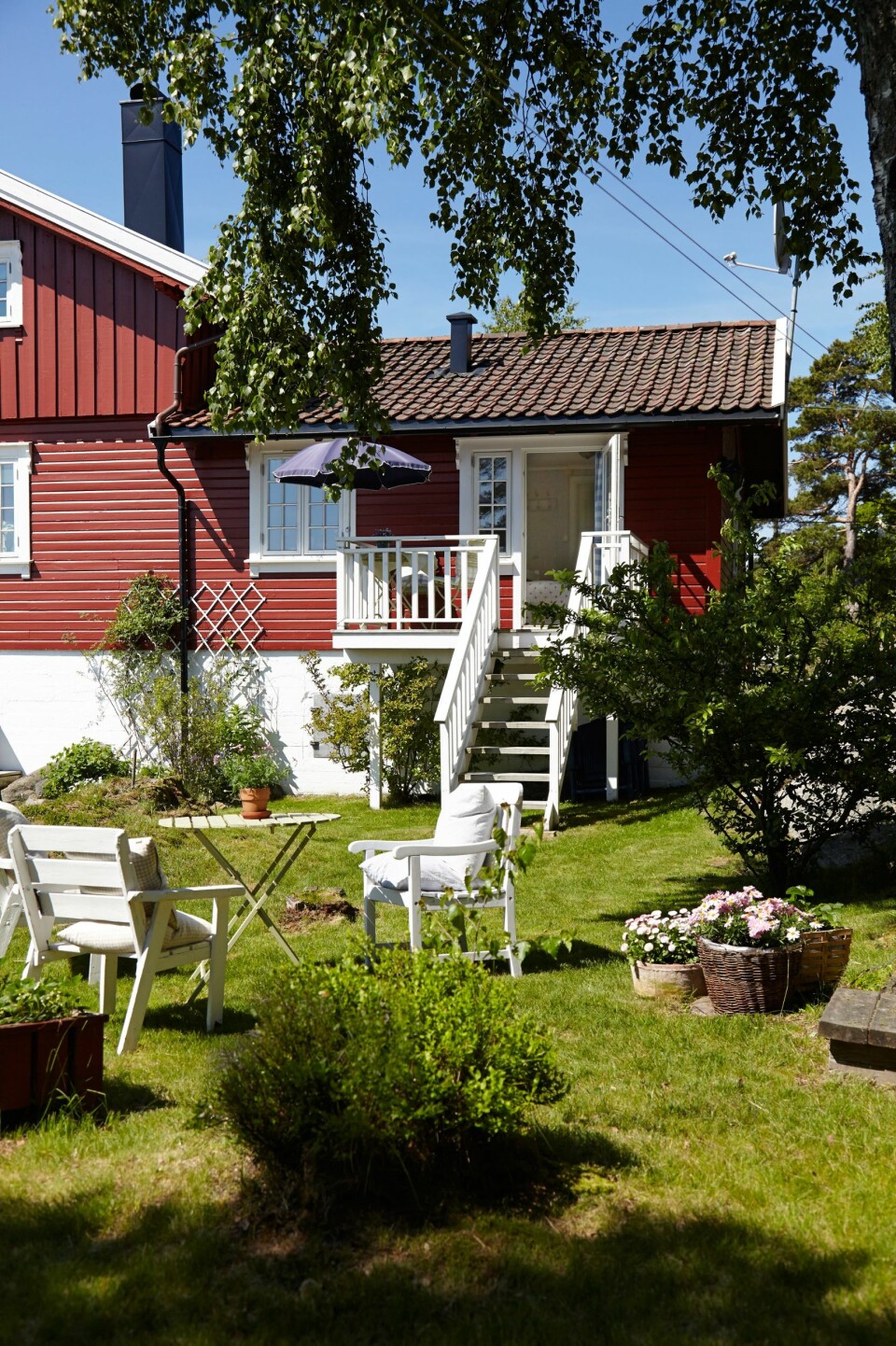 EN USJENERT HAGE:: Tenk at denne frodige herligheten er et svaberg! Turid innrømmer det gjerne, hun er i overkant opptatt av hage.