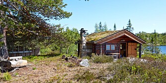 NORGES DRØMMEHYTTE: Gunhild Momrak laftet sin egen hytte i Fyresdal i Telemark. Den vant konkurransen Norges drømmehytte i 2013.