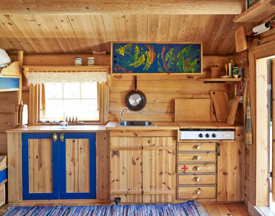 Plassbygget: Gunhild har selv bygget kjøkkenet. Overskapene er pyntet av hennes nevø og skal forestille ulike drager