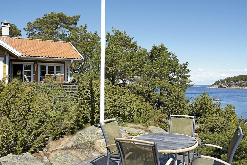 TRÆR: Det er furuen som hersker rundt hytta. Men det passer eierne bra, fordi det er mindre å holde vedlike og ingen plen eller rosebusker som tørker ut i løpet av sommeren. TRÆR: Det er furuen som hersker rundt hytta. Men det passer eierne bra, fordi det er mindre å holde vedlike og ingen plen eller rosebusker som tørker ut i løpet av sommeren.