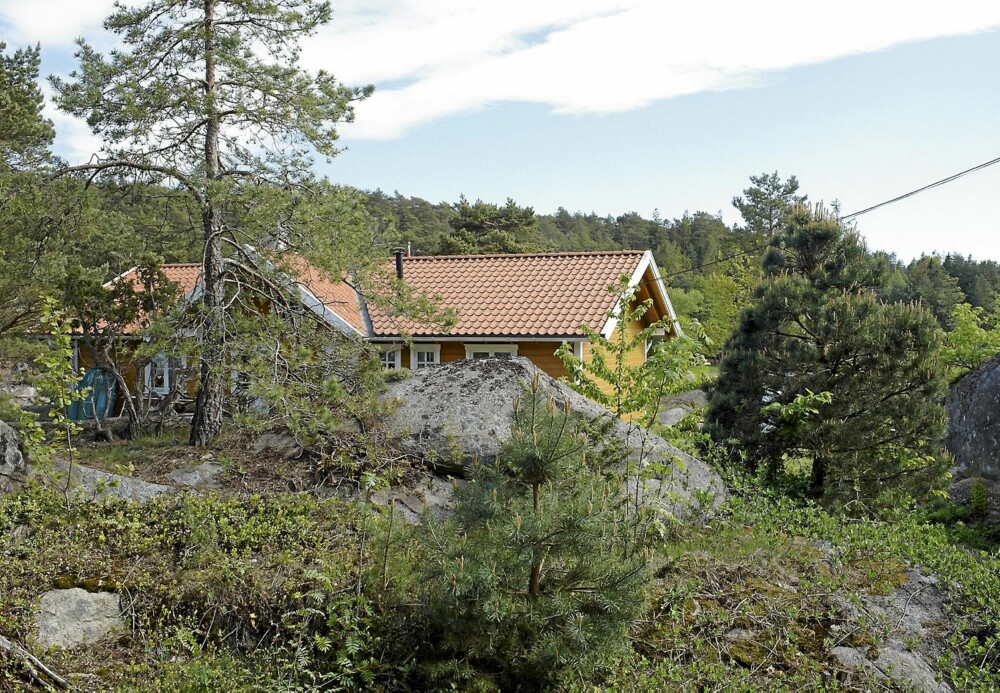 KARRIG: Naturtomten har fått leve sitt eget liv med knatter og blankskurte svaberg.