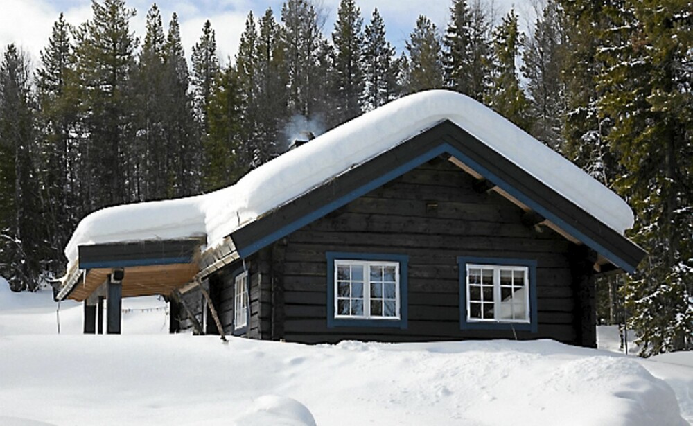 TRIVELIG OMRÅDE: Tømmerhytta Innsikt ligger i et hyggelig område med fine stølsveier, små hytter, gode fiskemuligheter og perfekte skiforhold.