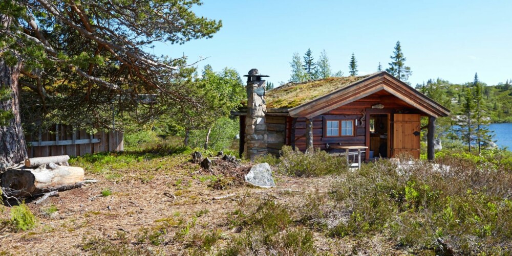 Laftedrøm: Gunhild Momraks hytte ligger vakkert til ved et tjern, med multemyr utenfor veggen. Her står også et anneks som ble bygget året etter. Et lite båthus er plassert i vannkanten og ble laftet opp noen år senere. Laftedrøm: Gunhild Momraks hytte ligger vakkert til ved et tjern, med multemyr utenfor veggen. Her står også et anneks som ble bygget året etter. Et lite båthus er plassert i vannkanten og ble laftet opp noen år senere.