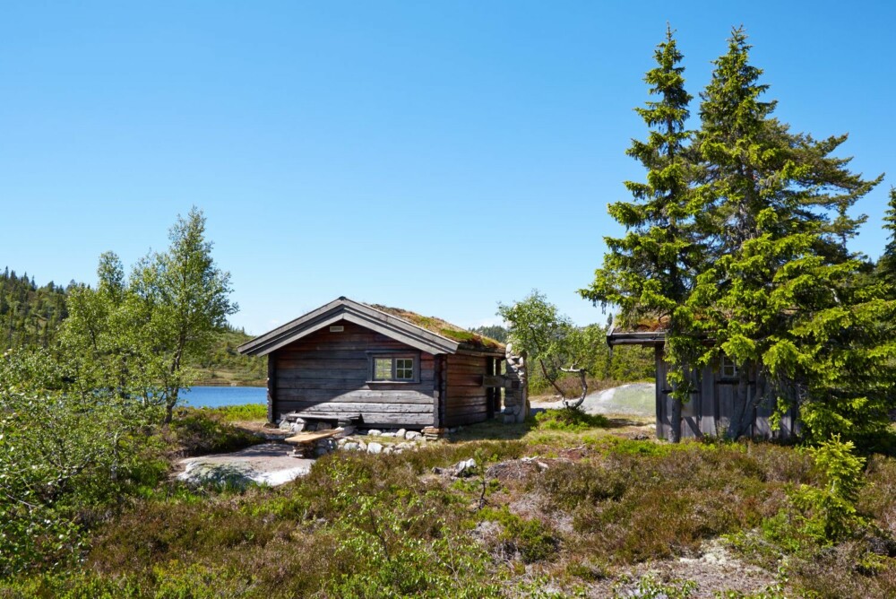 Morgensol: Sørsiden av hytta er vakker i morgensol. Her nytes en kaffekopp i hytteveggen på varme sommerdager. Morgensol: Sørsiden av hytta er vakker i morgensol. Her nytes en kaffekopp i hytteveggen på varme sommerdager.