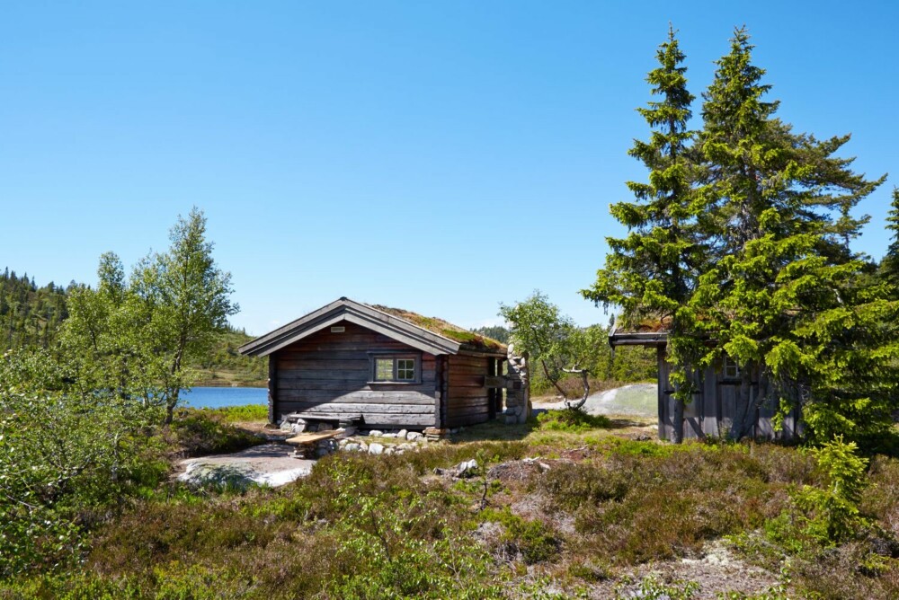 Morgensol: Sørsiden av hytta er vakker i morgensol. Her nytes en kaffekopp i hytteveggen på varme sommerdager.