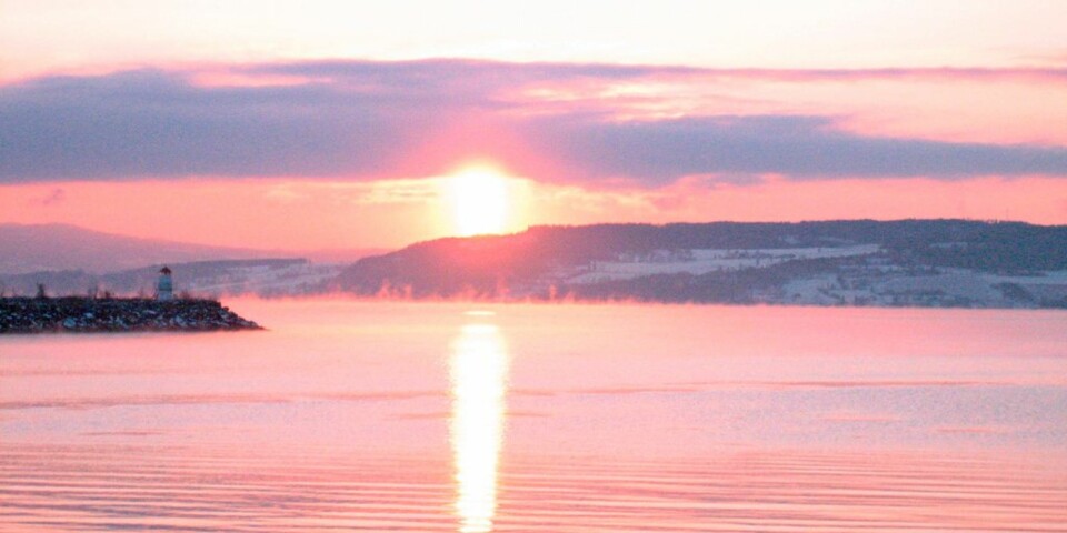 Guide til storørreten fra Mjøsa