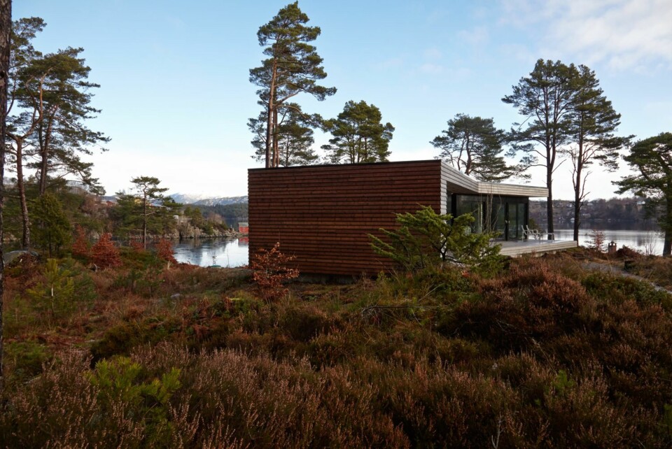 Tett på: Hytta ligger fint til og har god utsikt. Vinduene strekker seg fra gulv til tak. Knekken på hyttekroppen gjør for øvrig at hytta virker kortere enn den er