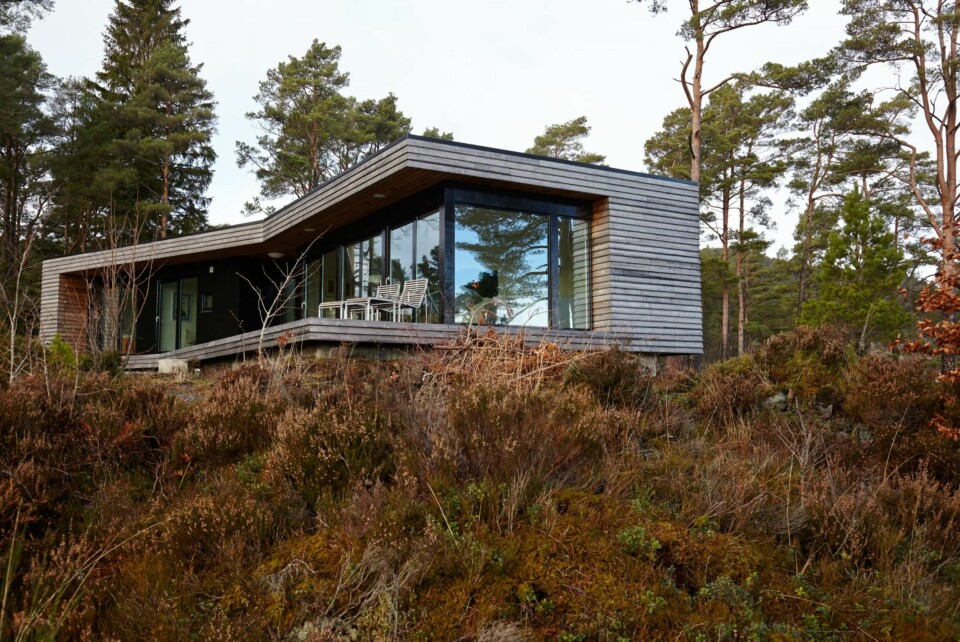Terrengtilpasset: Glassfeltene i den langstrakte bygningskroppen reflekterer skogen og himmelen. Platekledningen er i kryssfiner, poppelplater beiset svart med tre strøk.