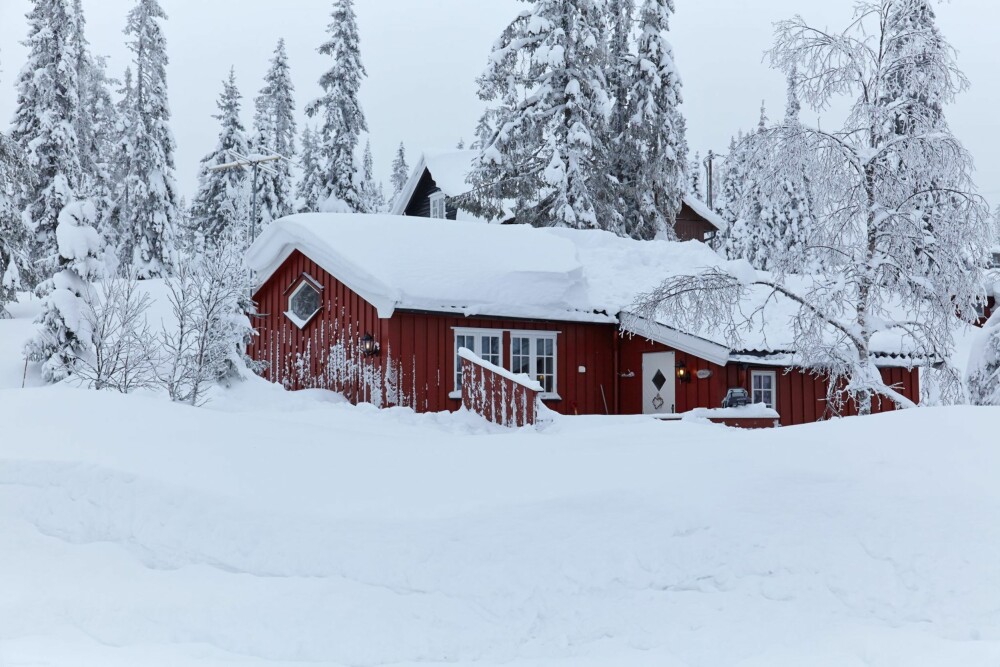 SNØRIKT: Om vinteren er hytta et godt utgangspunkt for skiturer. SNØRIKT: Om vinteren er hytta et godt utgangspunkt for skiturer.