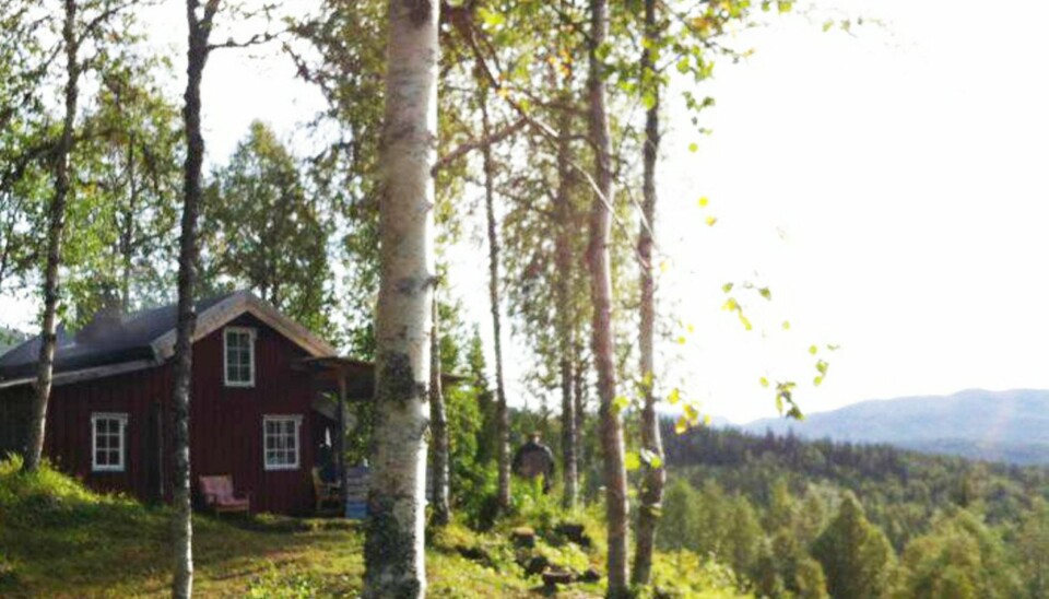 Sjarmerende skogshytte