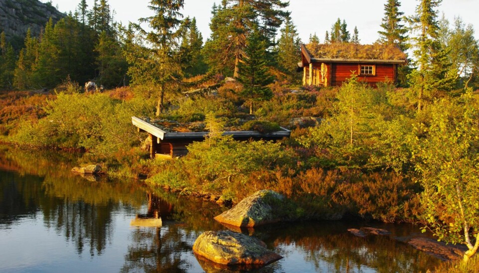 Liten, men vakker hytte i Fyresdal