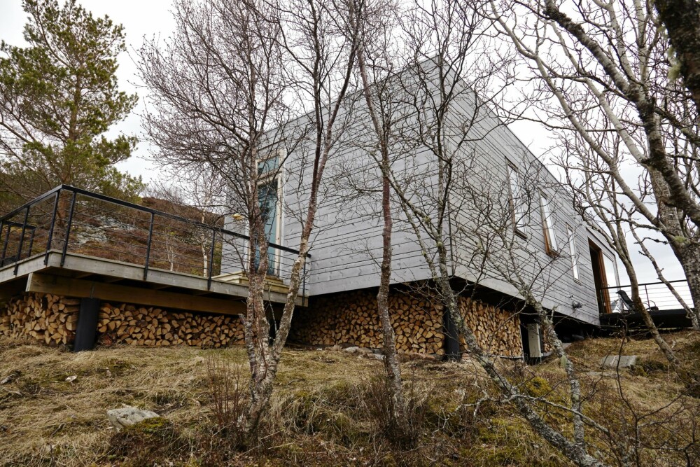 Stram boks: Rominndeling: Stue og kjøkken i ett rom. Lang, plassutnyttet entre. 2 soverom, bod og bad med badekar og toalett. Fasiliteter: Innlagt strøm og vann. Foto: Per Erik Jæger