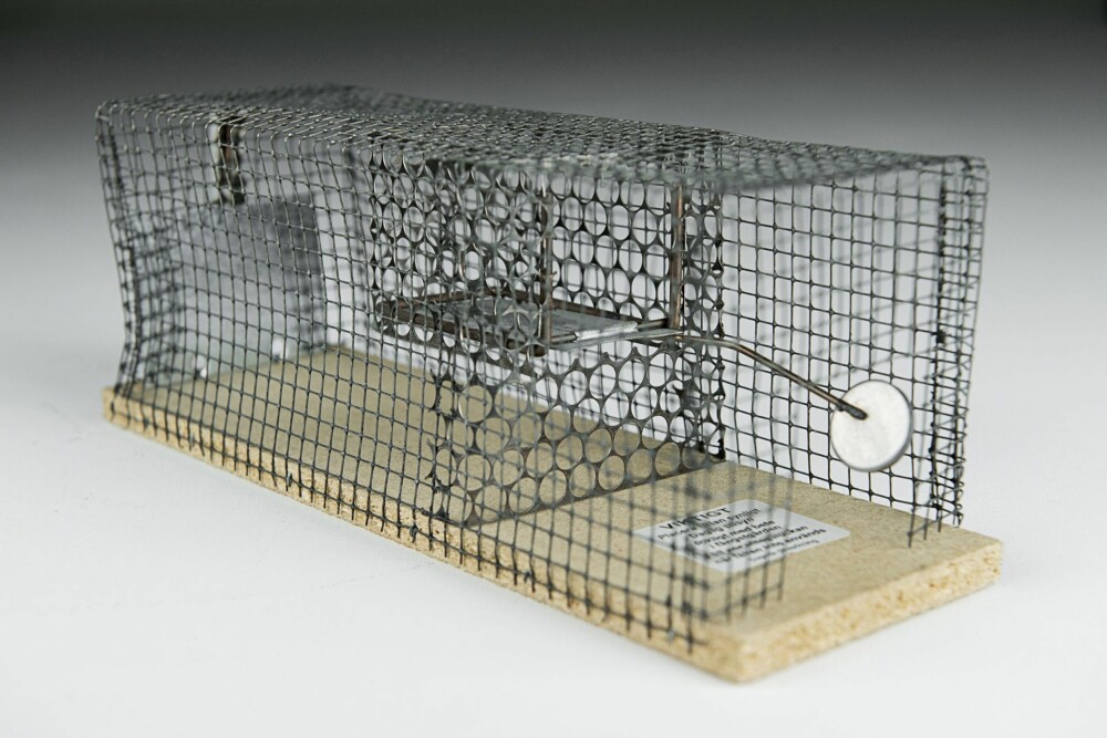 Den mest skånsomme: Denne musefellen fra Sverige er et bur i stål. Buret er konstruert slik at musen kan slippes ut i det fri.