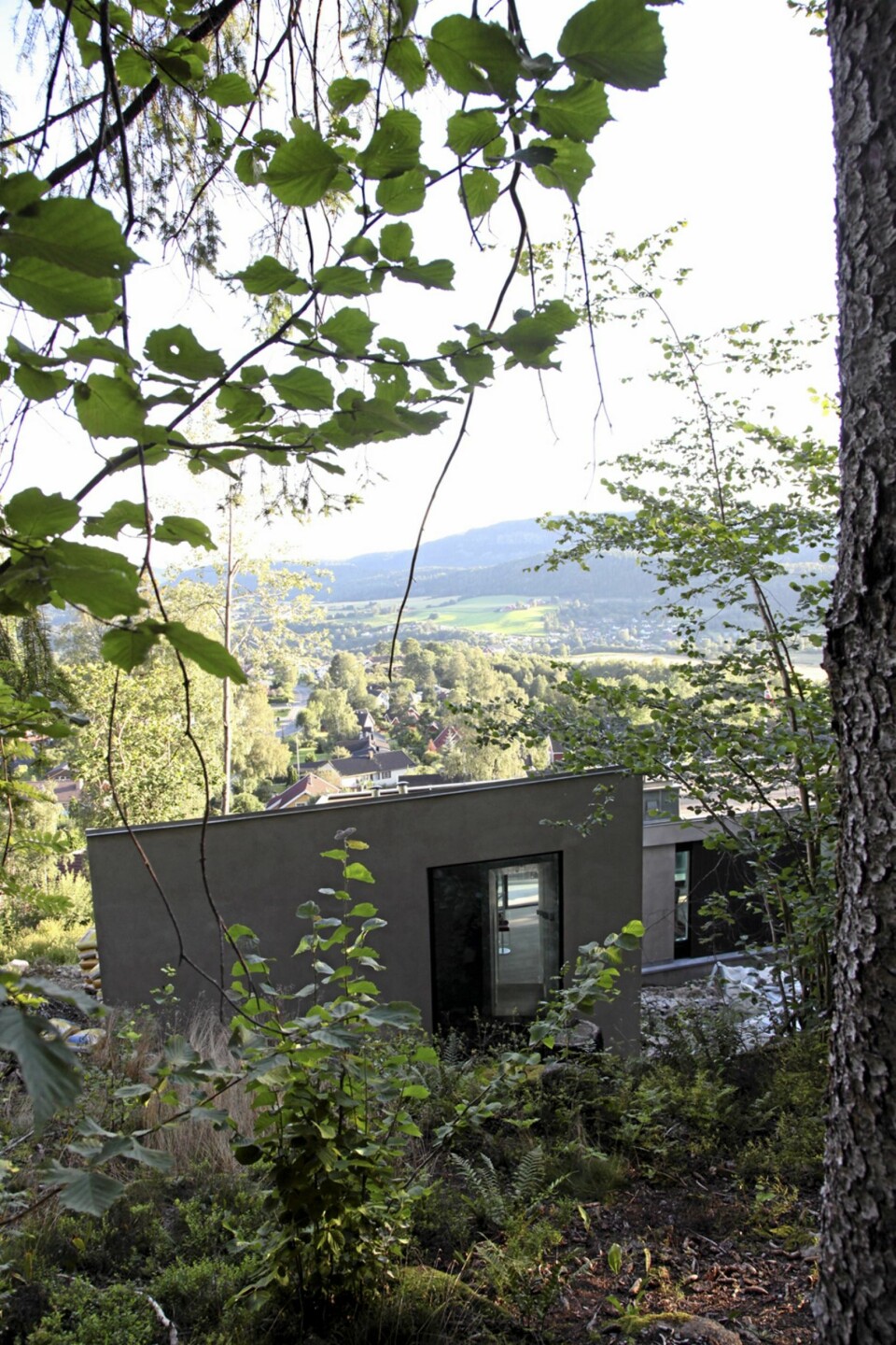 GLØTT I KRATTET: Ovenfra ser vi hvordan huset nesten forsvinner i vegetasjonen.